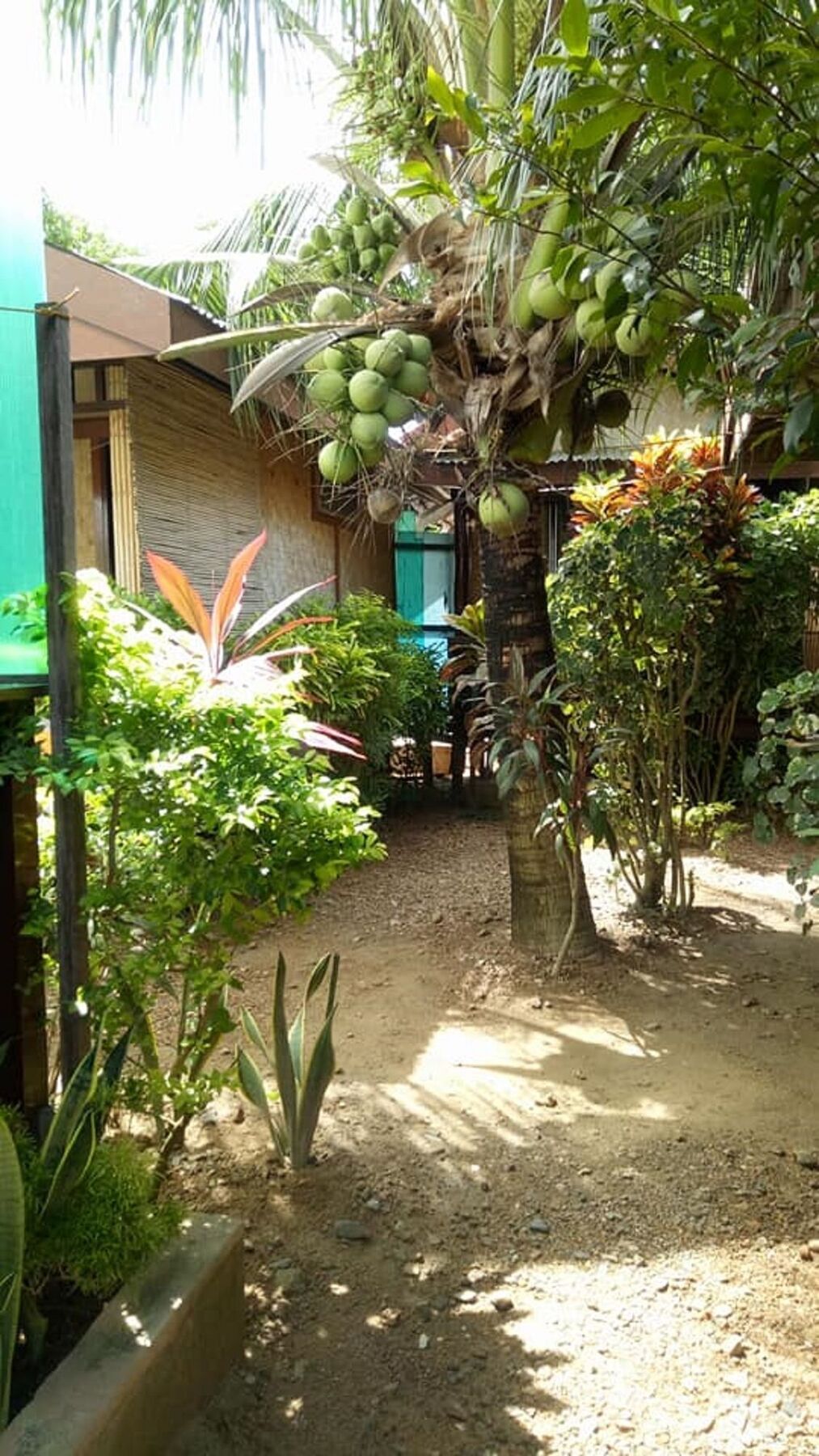Devayn'S Inn El Nido Exterior photo